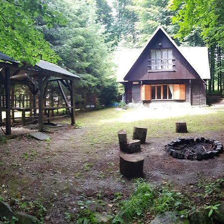 Slovak Cottage Near Bratislava In The Heart Of The Carpathians Модра Экстерьер фото