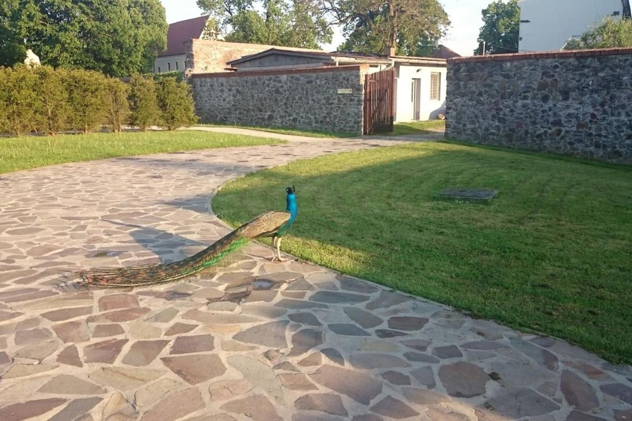 Slovak Cottage Near Bratislava In The Heart Of The Carpathians Модра Экстерьер фото