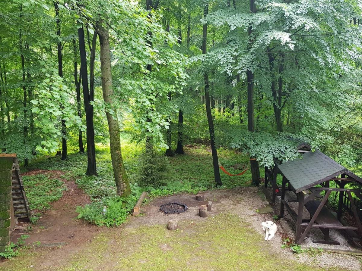 Slovak Cottage Near Bratislava In The Heart Of The Carpathians Модра Экстерьер фото