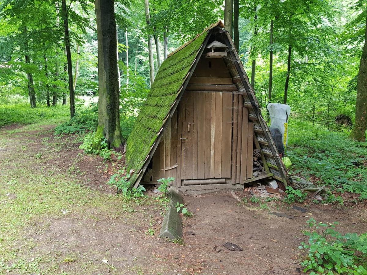 Slovak Cottage Near Bratislava In The Heart Of The Carpathians Модра Экстерьер фото